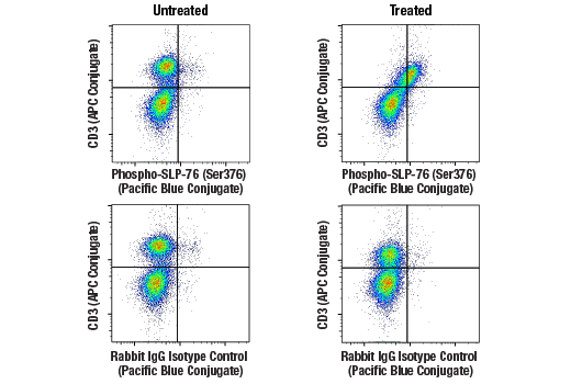 Flow Cytometry Image 2: Phospho-SLP-76 (Ser376) (E3G9U) Rabbit Monoclonal Antibody (Pacific Blue<sup>™</sup> Conjugate)