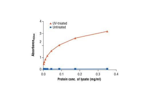 ELISA and/or ELISA-like Assays Image 2: PathScan<sup>®</sup> Phospho-p53 (Ser15) Sandwich ELISA Kit