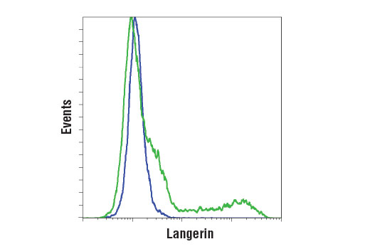 Flow Cytometry Image 1: Langerin (D9H7R) Rabbit Monoclonal Antibody (BSA and Azide Free)