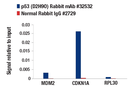 Chromatin Immunoprecipitation Image 1: p53 (D2H9O) Rabbit Monoclonal Antibody