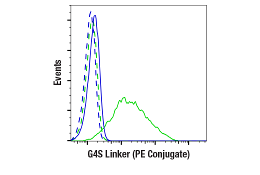 G4S Linker (E7O2V) Rabbit mAb (PE Conjugate) (#38907) Datasheet