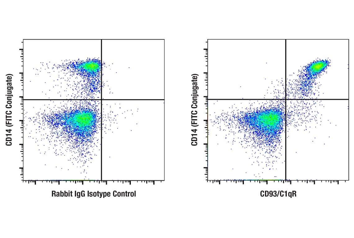 Flow Cytometry Image 1: CD93/C1qR (E5H9B) Rabbit Monoclonal Antibody