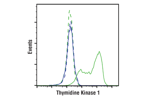 Flow Cytometry Image 1: Thymidine Kinase 1 (E2H7Z) Rabbit Monoclonal Antibody
