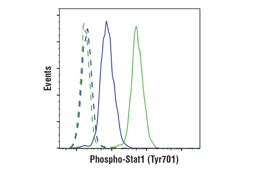 Flow Cytometry Image 1: Phospho-Stat1 (Tyr701) (58D6) Rabbit Monoclonal Antibody (BSA and Azide Free)