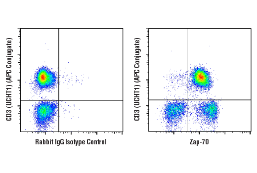 Flow Cytometry Image 1: Zap-70 (D1C10E) Rabbit Monoclonal Antibody (BSA and Azide Free)
