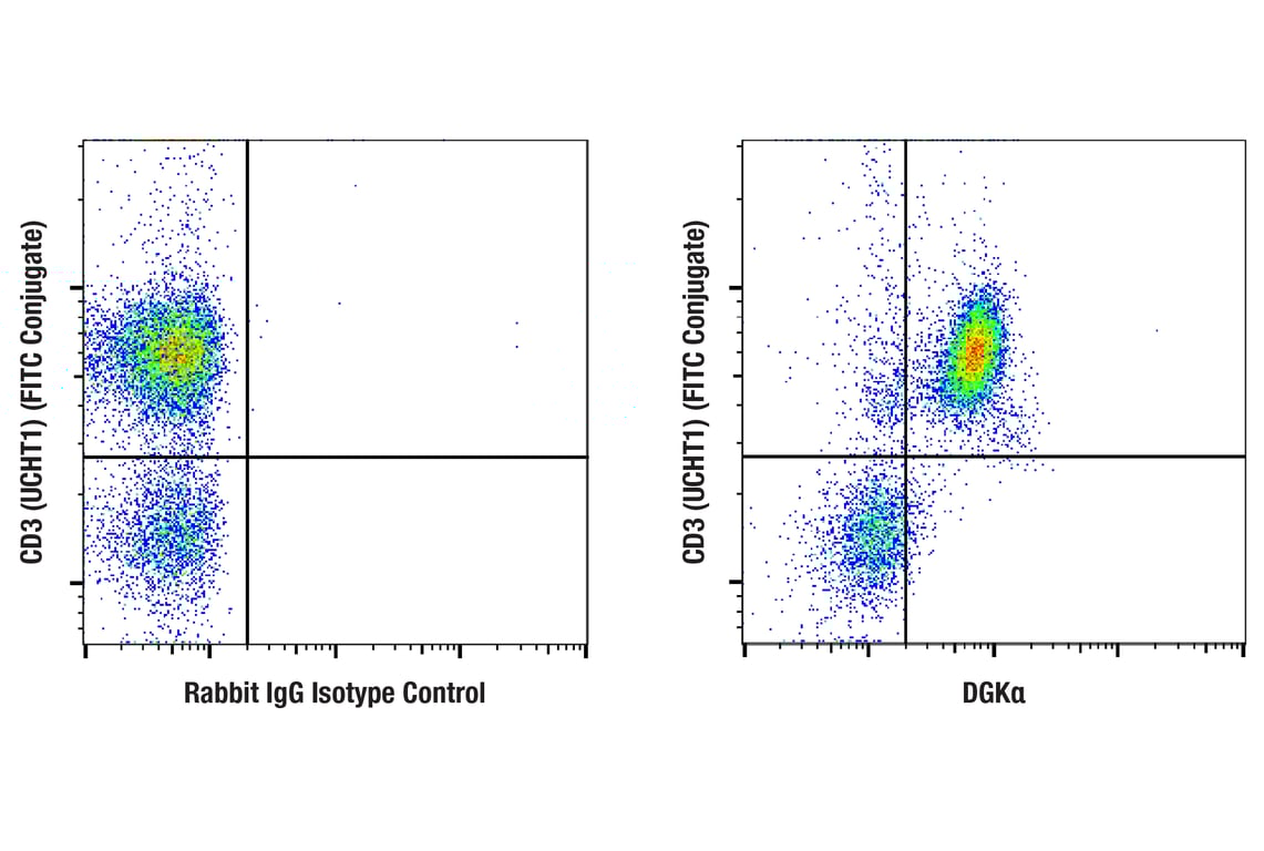 Flow Cytometry Image 1: DGK alpha (E7T8H) Rabbit Monoclonal Antibody
