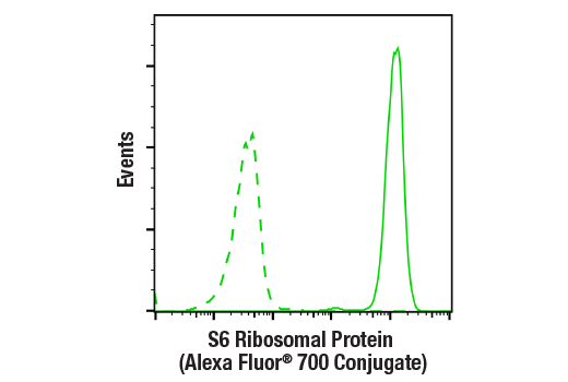 Flow Cytometry Image 2: S6 Ribosomal Protein (54D2) Mouse Monoclonal Antibody (Alexa Fluor<sup>®</sup> 700 Conjugate)