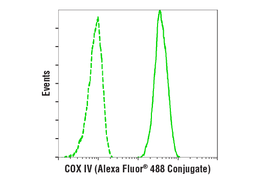 Flow Cytometry Image 1: COX IV (3E11) Rabbit Monoclonal Antibody (Alexa Fluor<sup>®</sup> 488 Conjugate)