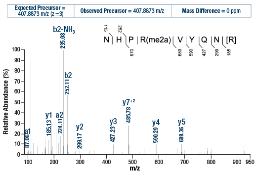 undefined Image 3: PTMScan<sup>®</sup> Control Peptides Asymmetric Di-Methyl Arginine