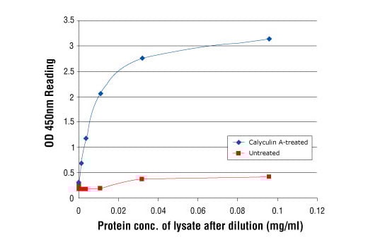 ELISA Image 2: PathScan<sup>®</sup> Phospho-Histone H3 (Ser10) Sandwich ELISA Kit