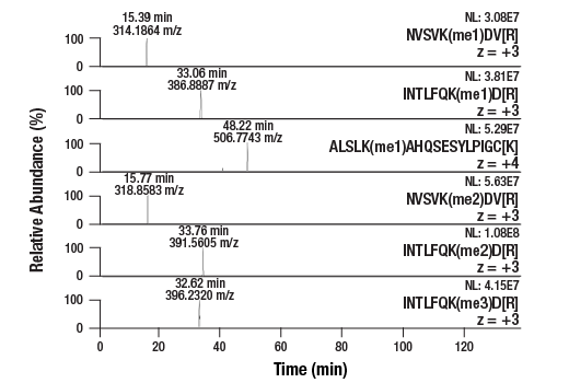 undefined Image 8: PTMScan<sup>®</sup> Control Peptides Pan-Methyl Lysine