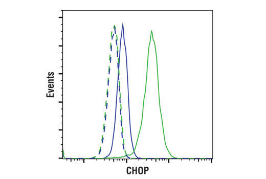 Flow Cytometry Image 1: CHOP (L63F7) Mouse Monoclonal Antibody (BSA and Azide Free)