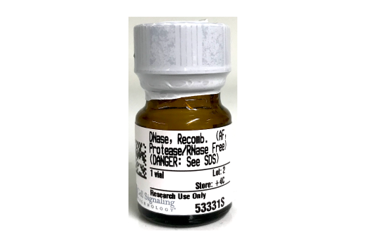 undefined Image 1: Deoxyribonuclease I, Recombinant (Animal-Free, Protease and RNase Free)