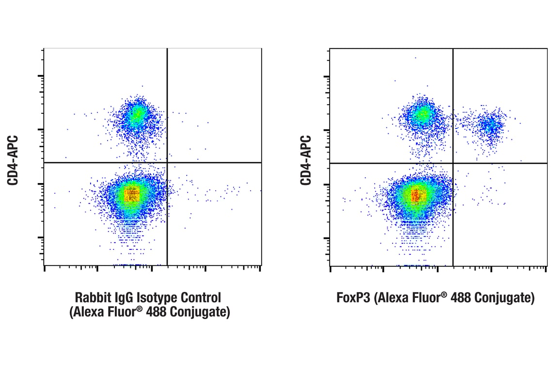 Flow Cytometry Image 1: FoxP3 (D6O8R) Rabbit Monoclonal Antibody (Alexa Fluor<sup>®</sup> 488 Conjugate)