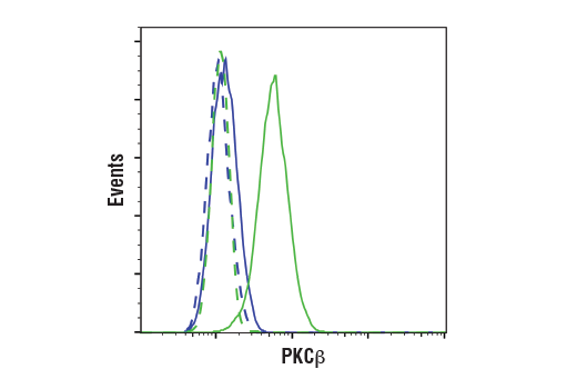 Flow Cytometry Image 1: PKC beta (D3E7O) Rabbit Monoclonal Antibody