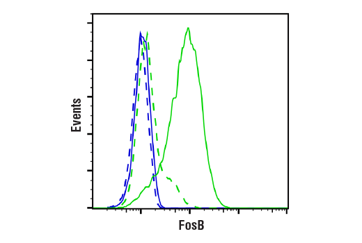 Flow Cytometry Image 1: FosB (5G4) Rabbit Monoclonal Antibody