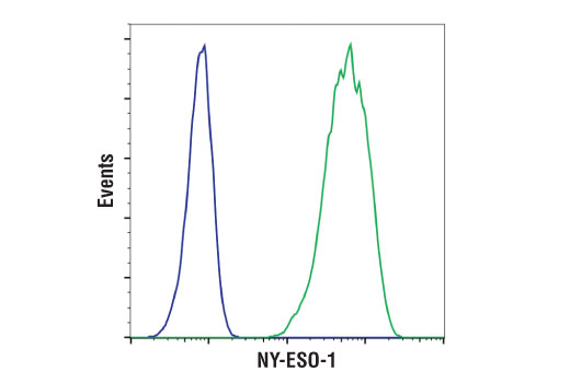 Flow Cytometry Image 1: NY-ESO-1 (D1Q2U) Rabbit Monoclonal Antibody