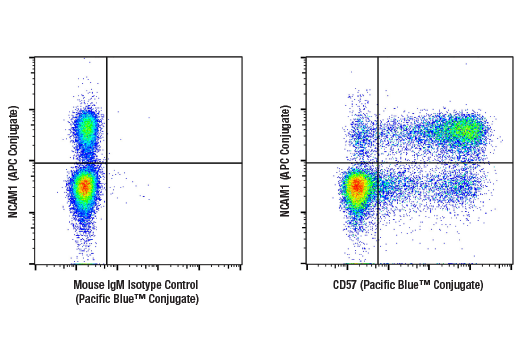 Flow Cytometry Image 1: CD57 (HNK-1) Mouse mAb (Pacific Blue<sup>™</sup> Conjugate)