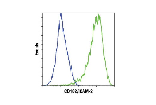 Flow Cytometry Image 1: CD102/ICAM-2 (D7P2Q) Rabbit Monoclonal Antibody