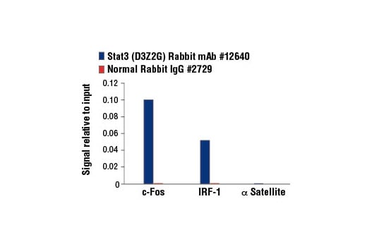 Chromatin Immunoprecipitation Image 3: Stat3 (D3Z2G) Rabbit Monoclonal Antibody