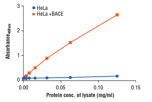 ELISA Image 2: PathScan<sup>®</sup> Total BACE Sandwich ELISA Kit
