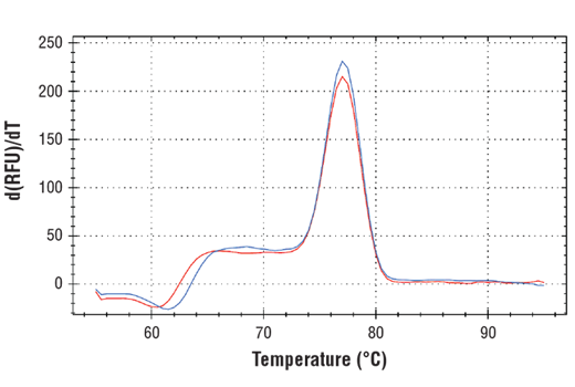 undefined Image 2: SimpleChIP<sup>®</sup> Human HUWE1 Intron 26 Control Primers