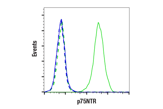Flow Cytometry Image 1: p75NTR (D4B3) Rabbit Monoclonal Antibody (BSA and Azide Free)