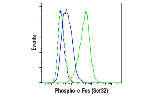 Flow Cytometry Image 1: Phospho-c-Fos (Ser32) (D82C12) Rabbit Monoclonal Antibody (BSA and Azide Free)