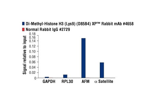 Chromatin Immunoprecipitation Image 3: Di-Methyl-Histone H3 (Lys9) (D85B4) Rabbit Monoclonal Antibody