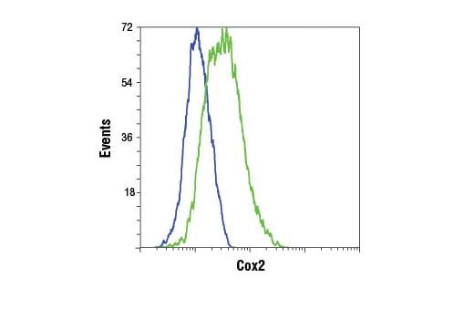 Flow Cytometry Image 1: Cox2 (D5H5) XP<sup>®</sup> Rabbit mAb (BSA and Azide Free)