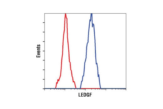 Flow Cytometry Image 1: LEDGF (C57G11) Rabbit Monoclonal Antibody (BSA and Azide Free)