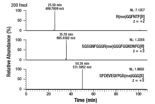 undefined Image 5: PTMScan<sup>®</sup> Control Peptides Mono-Methyl Arginine