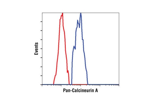 undefined Image 14: TFEB Signaling Antibody Sampler Kit