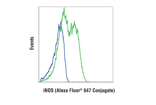 Flow Cytometry Image 1: iNOS (D6B6S) Rabbit mAb (Alexa Fluor<sup>®</sup> 647 Conjugate)