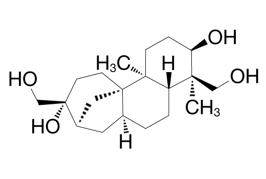 undefined Image 2: Aphidicolin