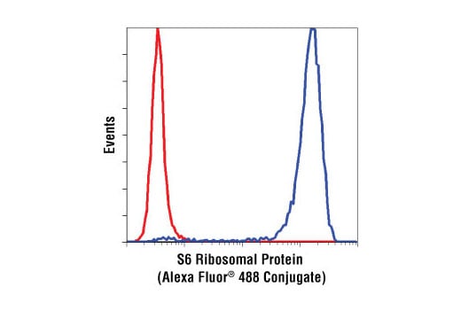 Flow Cytometry Image 1: S6 Ribosomal Protein (54D2) Mouse Monoclonal Antibody (Alexa Fluor<sup>®</sup> 488 Conjugate)