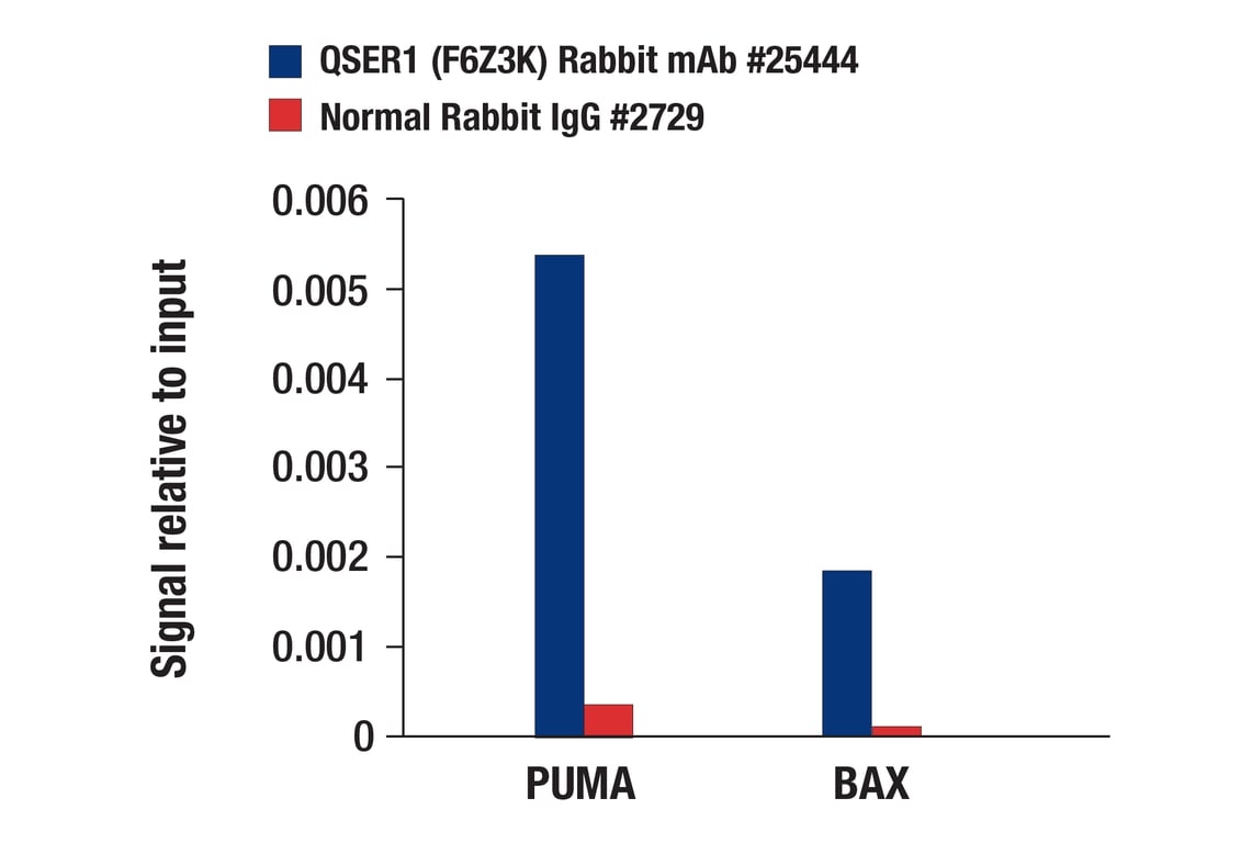 Chromatin Immunoprecipitation Image 1: QSER1 (F6Z3K) Rabbit Monoclonal Antibody