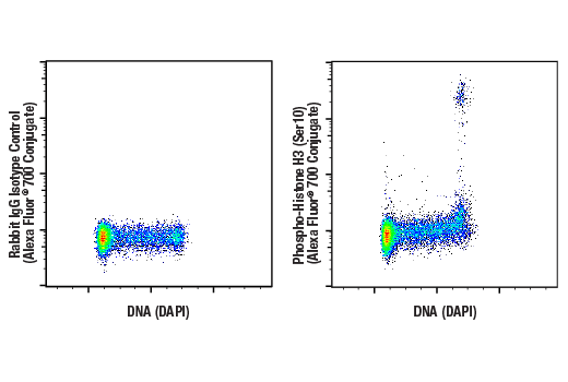 Flow Cytometry Image 1: Phospho-Histone H3 (Ser10) (D2C8) Rabbit Monoclonal Antibody (Alexa Fluor<sup>®</sup> 700 Conjugate)