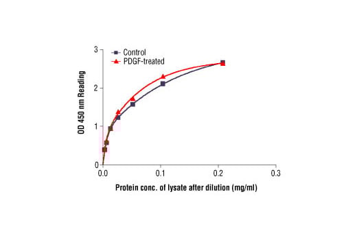 ELISA Image 2: PathScan<sup>®</sup> Total S6 Ribosomal Protein Sandwich ELISA Kit