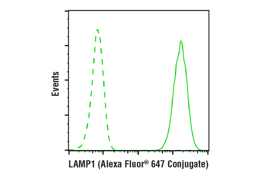Flow Cytometry Image 1: LAMP1 (D2D11) Rabbit Monoclonal Antibody (Alexa Fluor<sup>®</sup> 647 Conjugate)