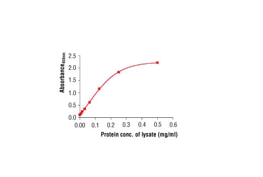 ELISA Image 2: PathScan<sup>®</sup> Total alpha-Tubulin Sandwich ELISA Kit