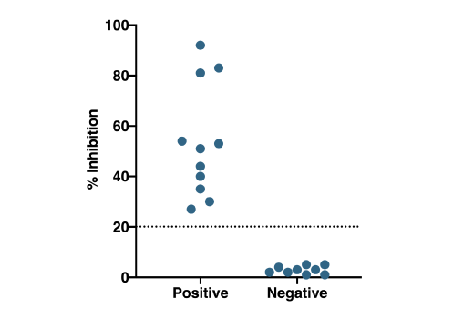 ELISA Image 1: SARS-CoV-2 Spike RBD-ACE2 Blocking Antibody Detection ELISA Kit
