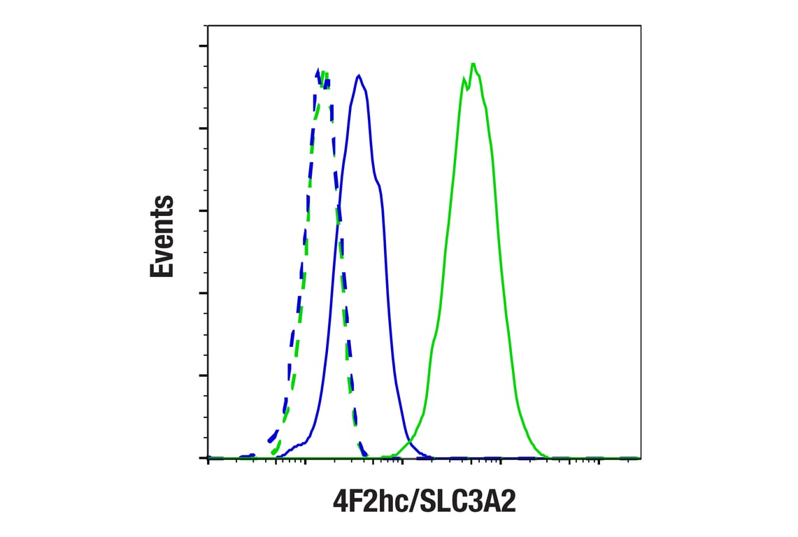 Flow Cytometry Image 1: 4F2hc/SLC3A2 (D3F9D) XP<sup>®</sup> Rabbit mAb