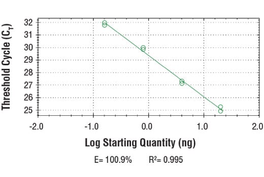 Chromatin Immunoprecipitation Image 2: SimpleChIP<sup>®</sup> Human CYP2B7 Pseudogene Promoter Primers