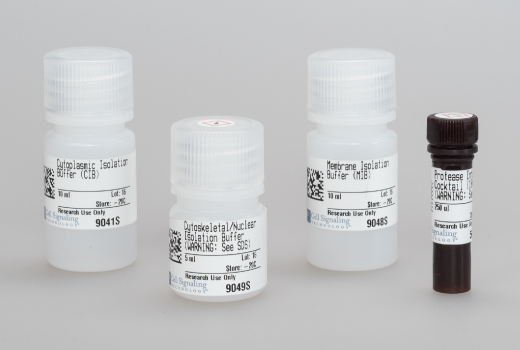 undefined Image 1: Cell Fractionation Kit