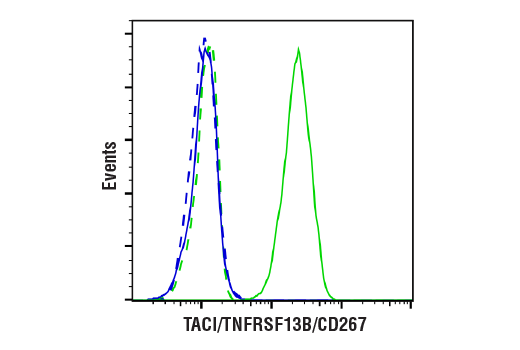 Flow Cytometry Image 2: TACI/TNFRSF13B/CD267 (E1D1P) Rabbit Monoclonal Antibody