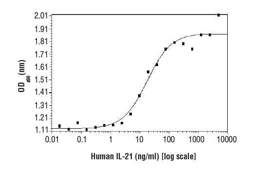 undefined Image 1: Human Interleukin-21 (hIL-21) Recombinant Protein