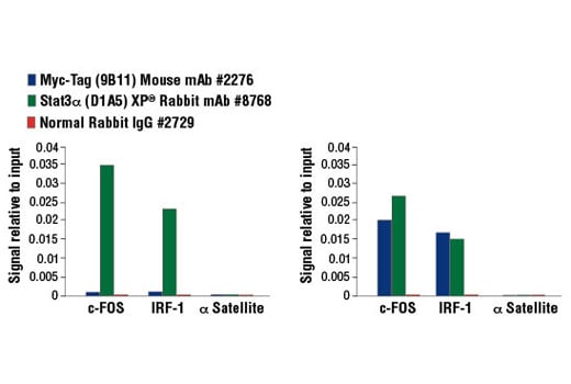 Chromatin Immunoprecipitation Image 1: Myc-Tag (9B11) Mouse Monoclonal Antibody