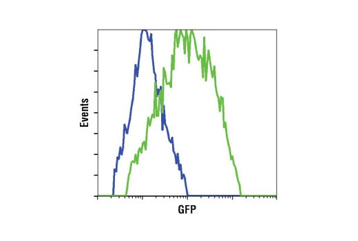 Flow Cytometry Image 1: GFP (4B10) Mouse Monoclonal Antibody