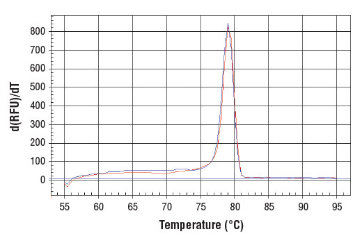 undefined Image 1: SimpleChIP<sup>®</sup> Human FDPS Promoter Primers